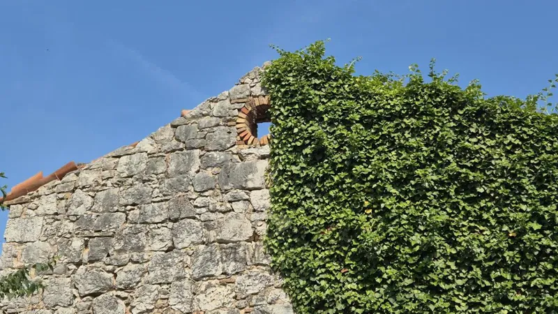 Casa in pietra istriana da ristrutturare – a 4,5 km dal mare e dal centro di Parenzo – 3