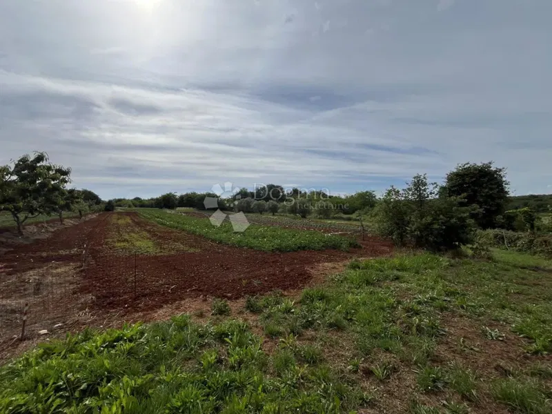 UMAG SURROUNDINGS, BUILDING-AGRICULTURAL LAND – 2