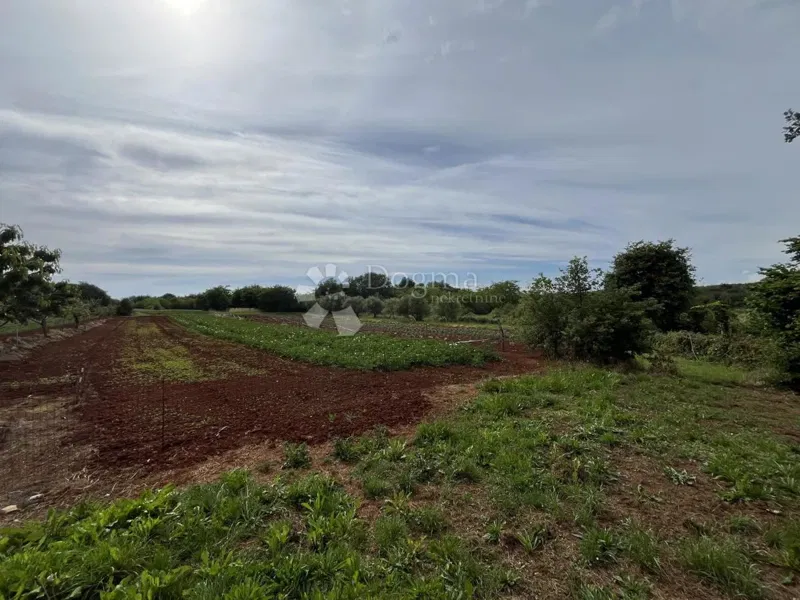 UMAG SURROUNDINGS, BUILDING-AGRICULTURAL LAND – 3