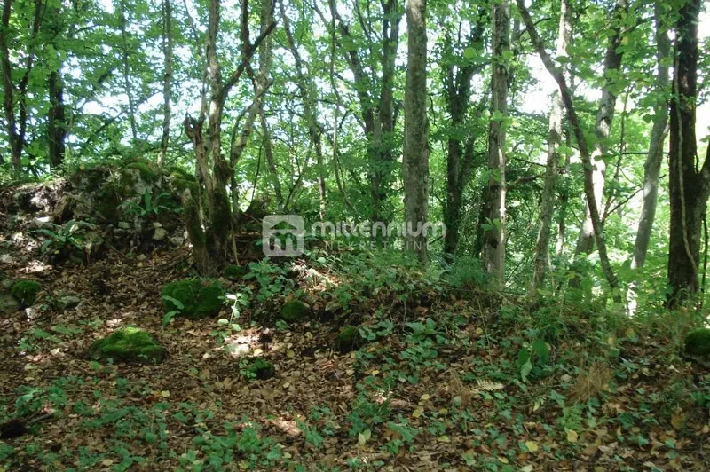 Zemljišče Ogulin – 3