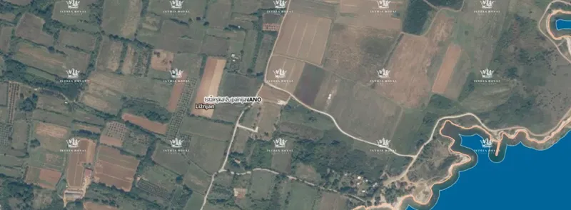 IN VENDITA – TERRENO AGRICOLO CON ULIVETO 3674 m² VICINO AL MARE – LIŽNJAN – 3