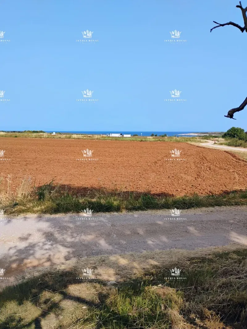 ISTRA, TERRENO AGRICOLO A LIŽNJAN – OTTIMA POSIZIONE - ISTRA, POLA. – 2