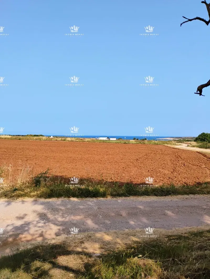 ISTRA, TERRENO AGRICOLO A LIŽNJAN – OTTIMA POSIZIONE - ISTRA, POLA. – 3