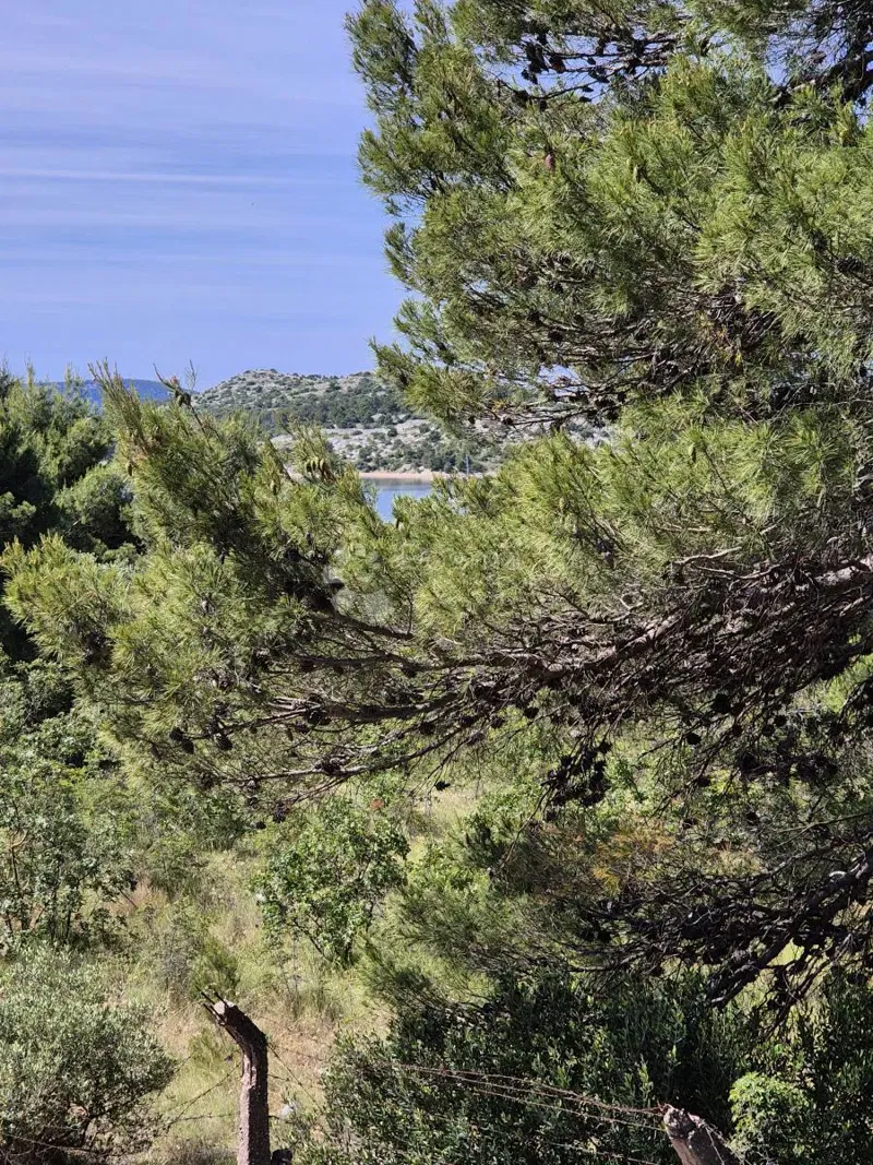 Flat Crnica, Šibenik, 64,37m2 – 2