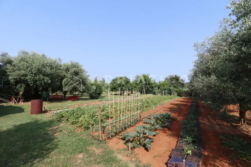 Rovigno, terreno agricolo con annesso. – 2