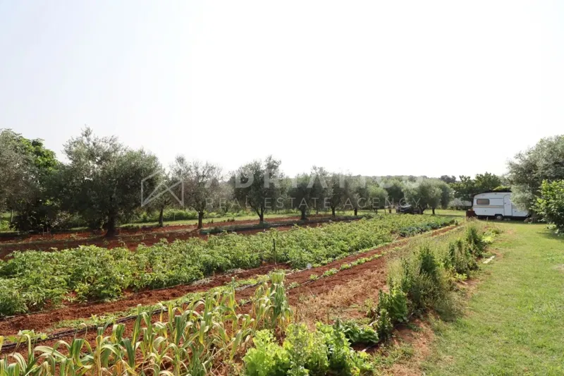 Rovigno, terreno agricolo con annesso. – 3