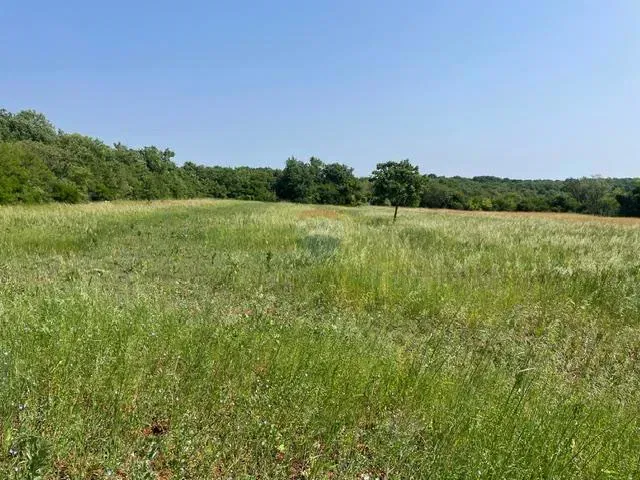 Non-structural plot Loborika, Marčana, 3.457m2 – 3