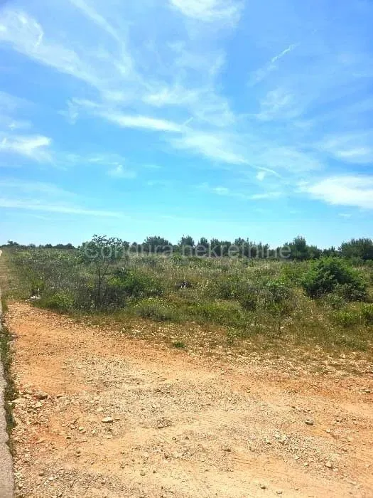 FOR SALE – Attractive Agricultural Land on the Island of Vir 11,358 m² – 2