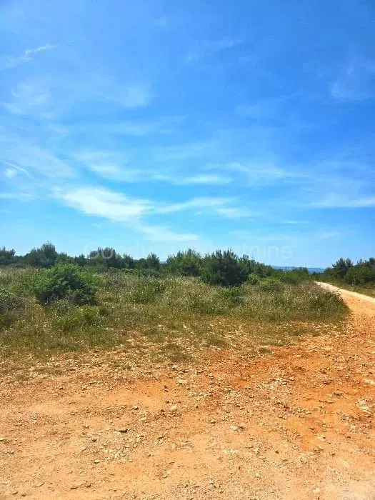 FOR SALE – Attractive Agricultural Land on the Island of Vir 11,358 m² – 3