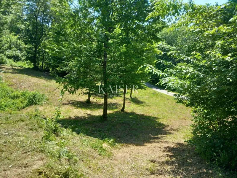 Termőföld Kamensko, Vrbovsko, 7.176m2 – 3