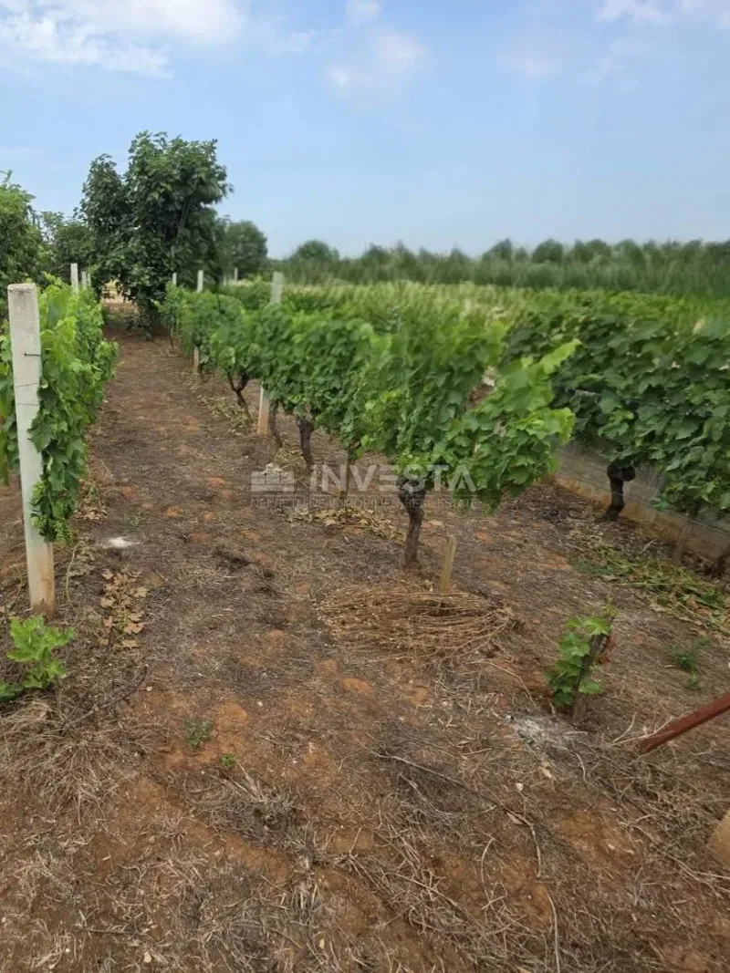 Fažana, Terreno edificabile con casa incompiuta, a 1,5 km dalla spiaggia – 2