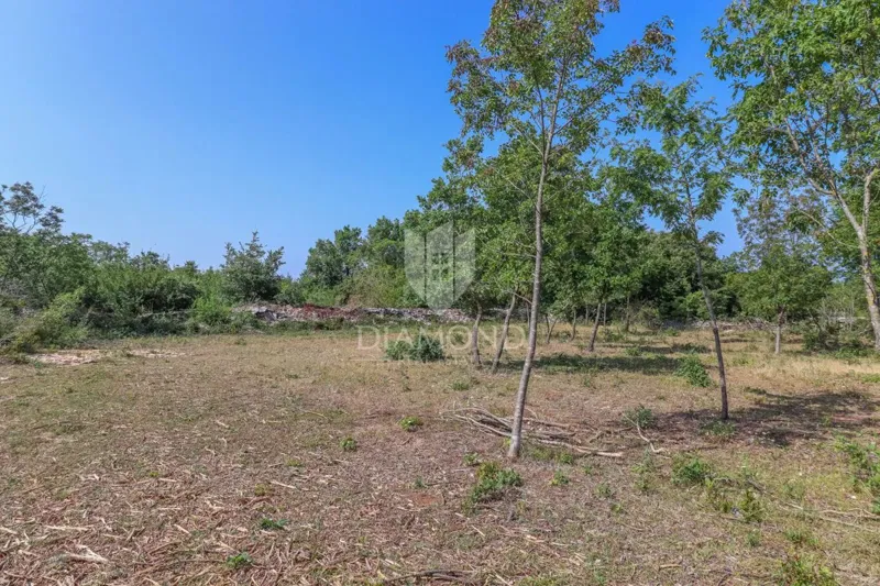 Svetvinčenat, dintorni, terreno ideale per una nuova casa – 2