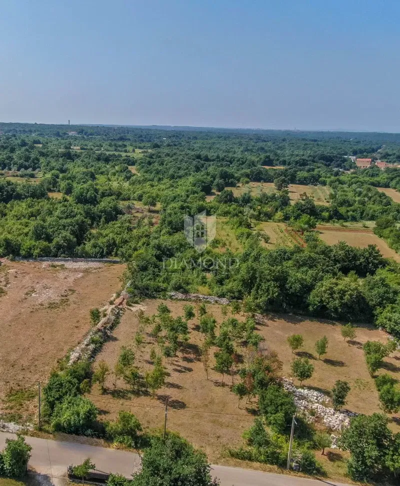 Svetvinčenat, dintorni, terreno ideale per una nuova casa – 3