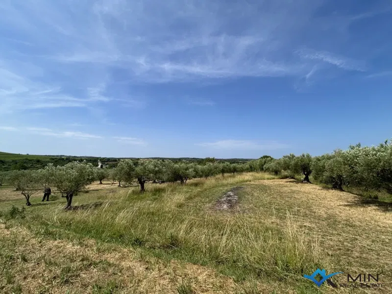 Terreno edificabile a Buie – 3