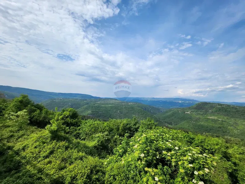 Non-structural plot Sovinjak, Buzet, 20.001m2 – 3