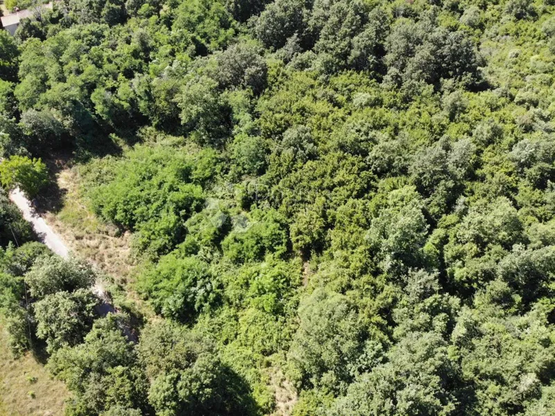 Építési telek Poreč, 1.033m2 – 2
