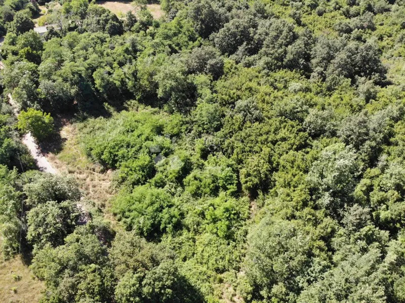 Building land Poreč, 1.033m2 – 3
