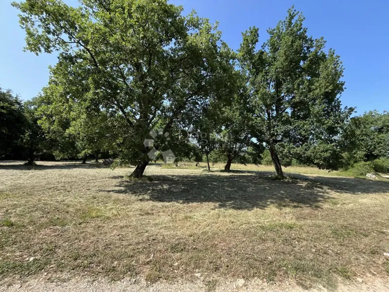 Építési telek Višnjan, Višnjan, Višnjan, Istarska županija, 818m2 – 2