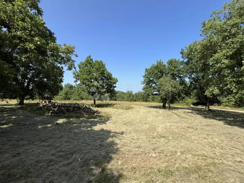 Építési telek Višnjan, Višnjan, Višnjan, Istarska županija, 818m2 – 3