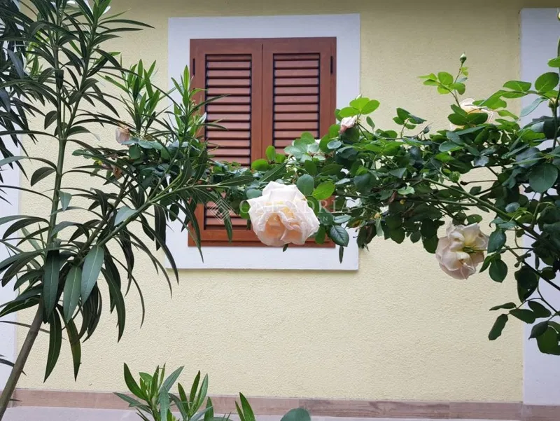 SAMOSTOJEĆA KUĆA S 3 ODVOJENA APARTMANA BLIZU CENTRA – 2