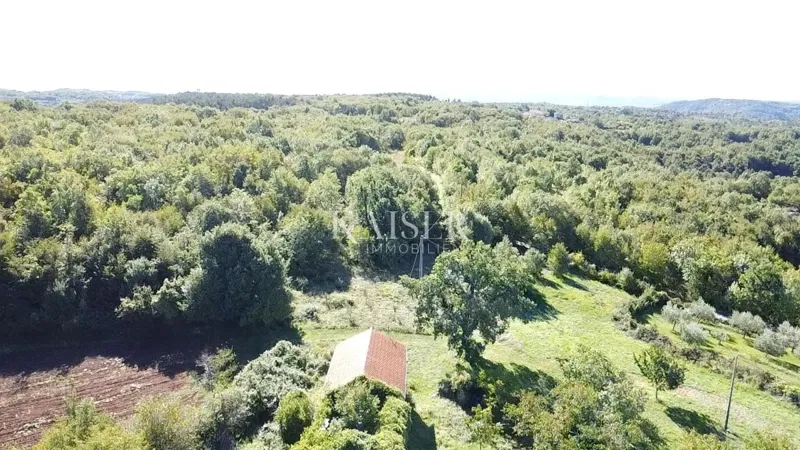 Istria, Oprtalj - terreno edificabile di 3600 m2 con due case in pietra – 2