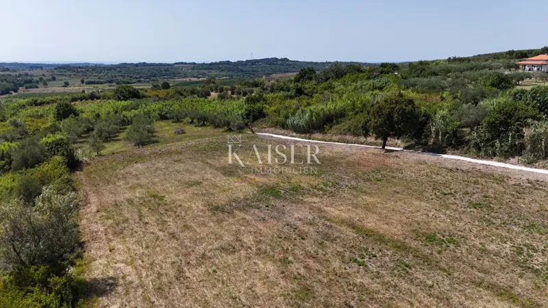 Isztria, Buje - építési telek, 1036 m2, kiváló helyen – 2