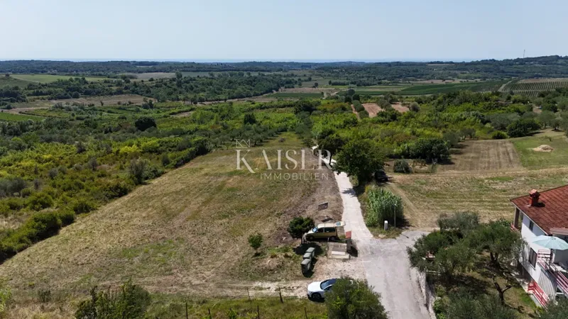 Isztria, Buje - építési telek, 1032 m2, kiváló helyen – 2