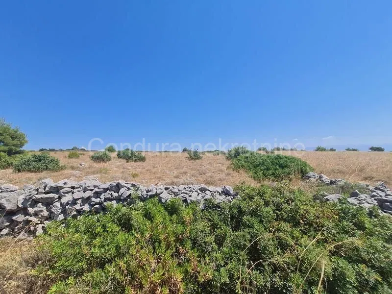 Terreno Vir – 3