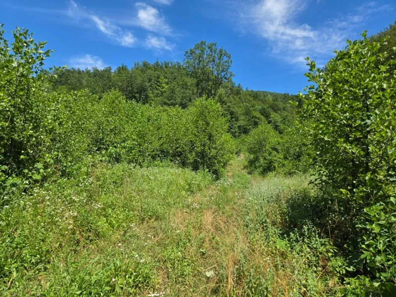 Zemljišče Vrbovsko – 3
