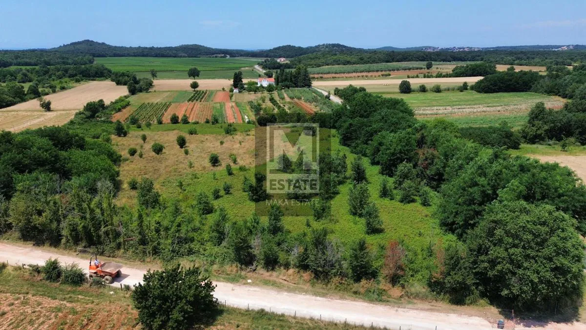 Poreč, okolica, Predivno poljoprivredno zemljište! m2=10€