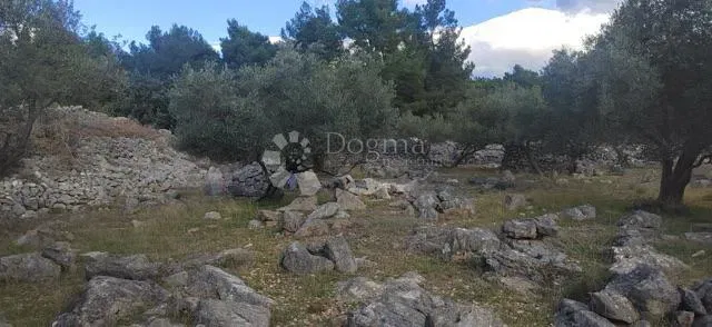 Terreno agricolo Krk, 4.032m2 – 2