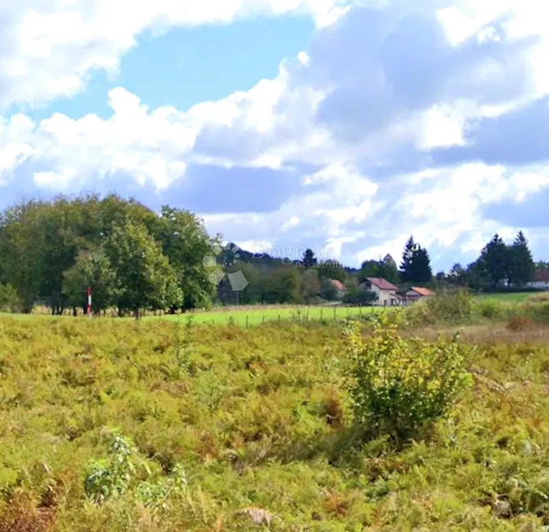 Agricultural land Oštarije, Josipdol, 14.393m2 – 2