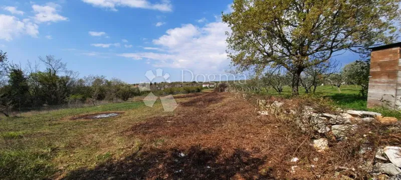 Land Vodnjan, 5.053m2 – 2
