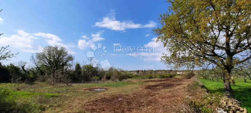 Land Vodnjan, 5.053m2 – 3