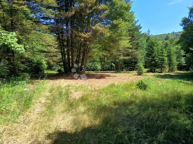 Terreno edificabile Saborsko, 4.514m2 – 2