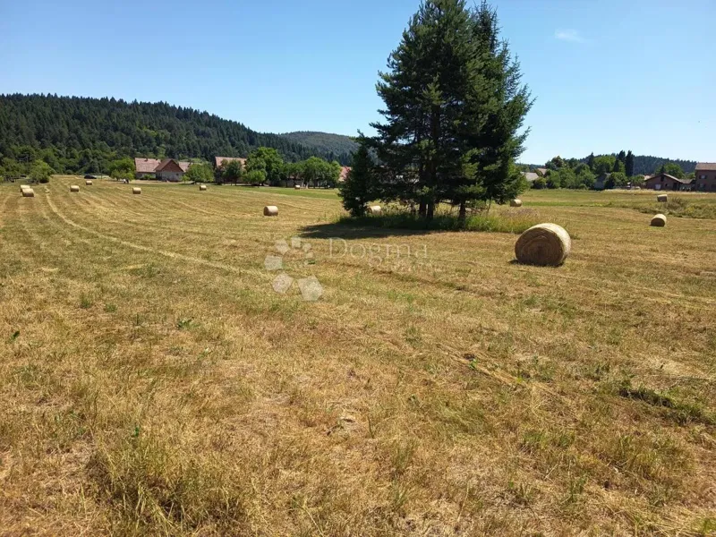 Building land Saborsko, 11.140m2 – 2