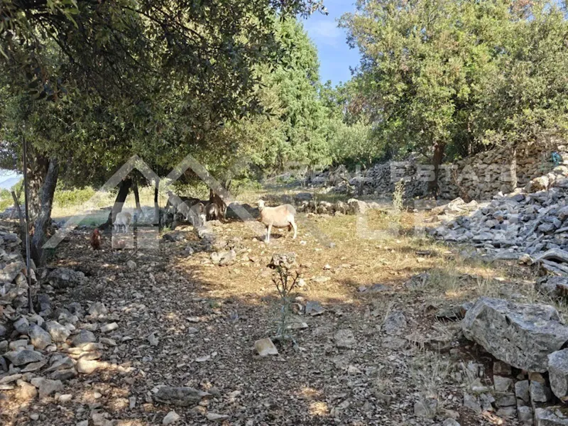Ingatlanok Brač – Nagy mezőgazdasági terület falusi házzal Supetren, eladó – 3