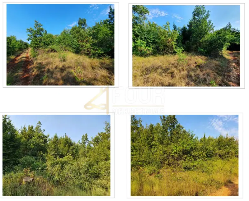 Földrajzi terület Labinci, Kaštelir-Labinci, 13.182m2 – 3