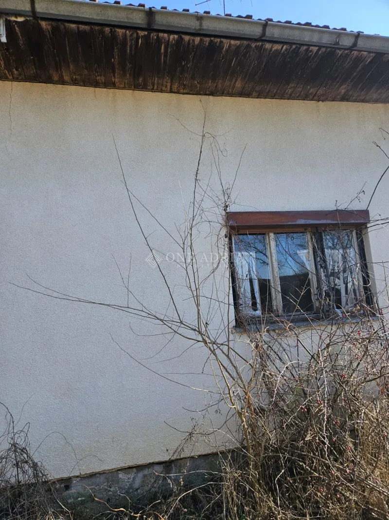 SAMOSTOJEĆA PRIZEMNICA SA 8000m2 ZEMLJIŠTA! – 3