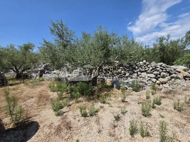 Farmland Krk, 2.500m2 – 3
