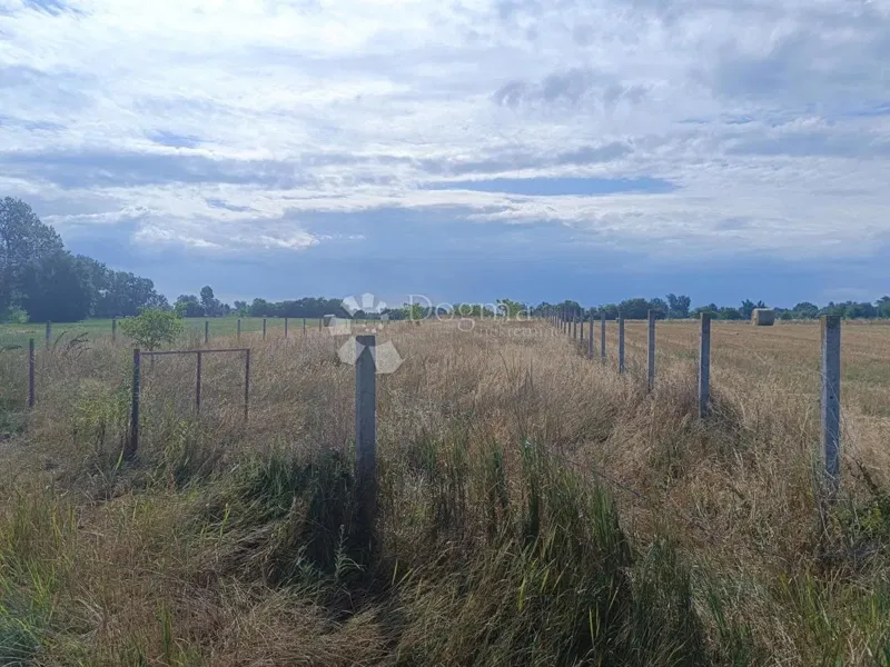 Agrarland Bilje, 5.122m2