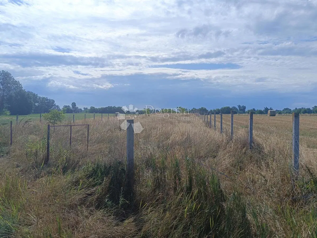 Veliki potencijal - zemljište 5122 m² pored Bilja