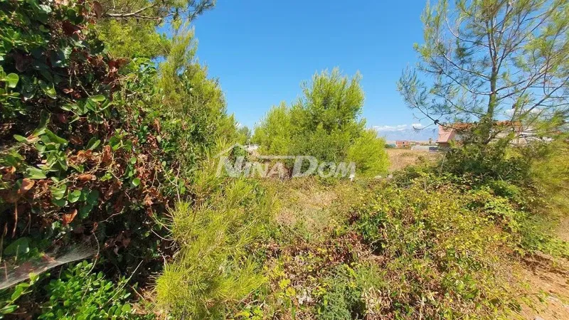 Land Vir – 2