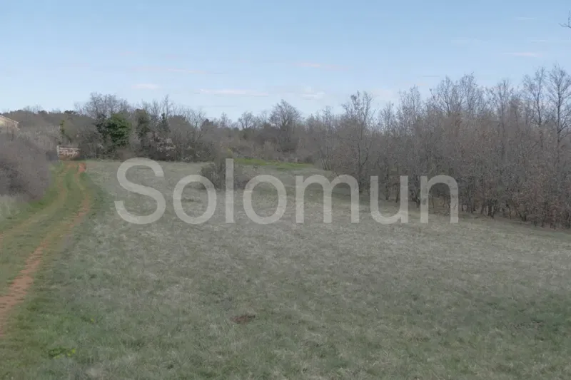Telek Svetvinčenat – 2