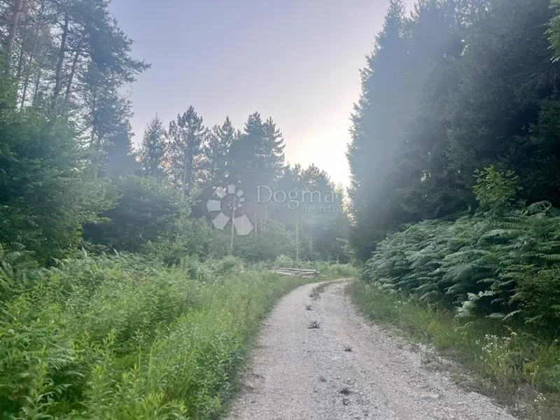 Építési telek Broćanac, Rakovica, 204.119m2 – 3