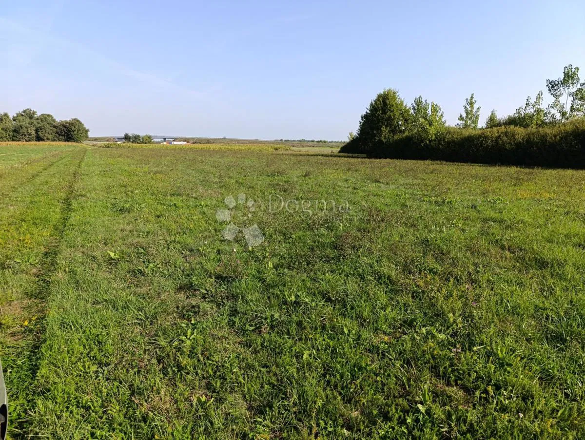 Ziemia rolna Đakovo, 9.499m2