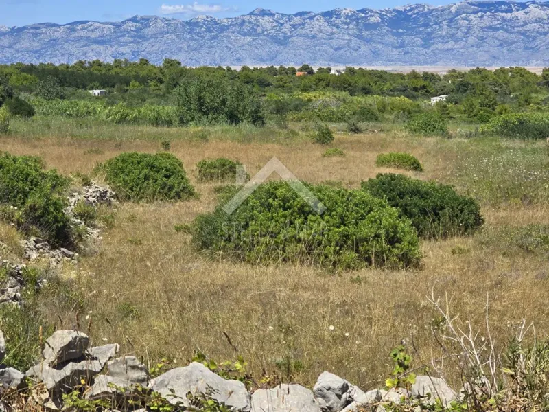 Terreno Vir – 2