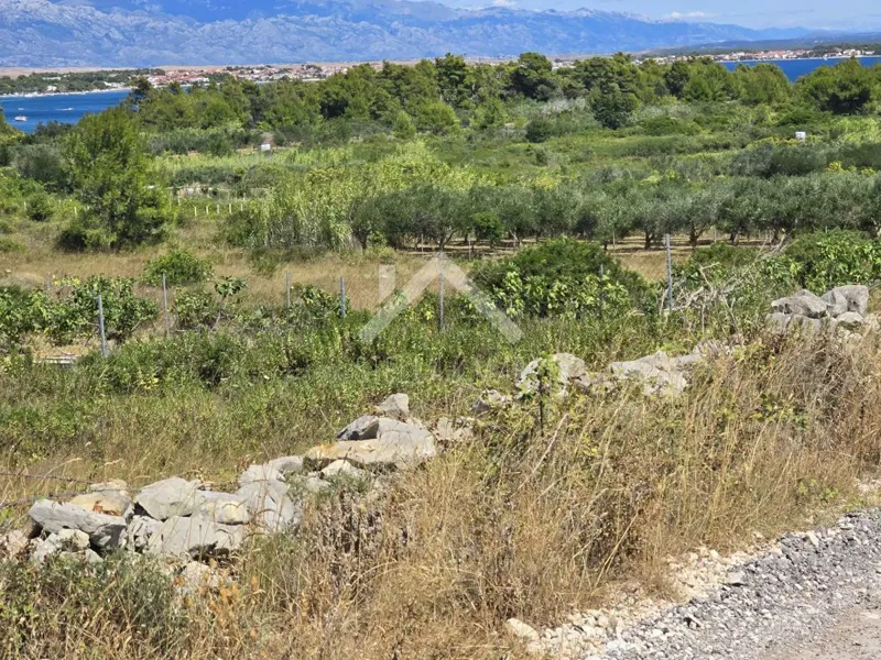 Terreno Vir – 3
