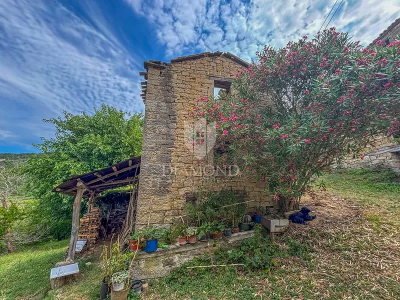 Motovun, surroundings - an antique with great potential in the heart of Istria – 2