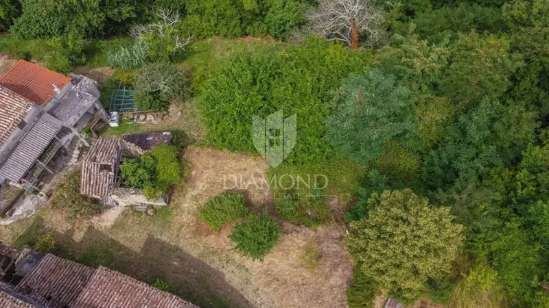 Motovun, surroundings - an antique with great potential in the heart of Istria – 3